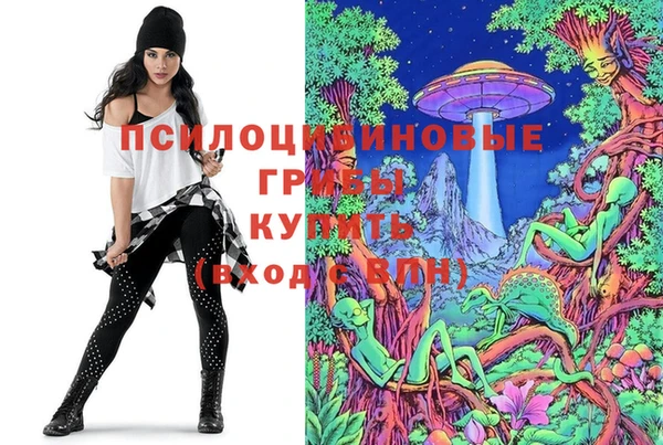 ПСИЛОЦИБИНОВЫЕ ГРИБЫ Верея